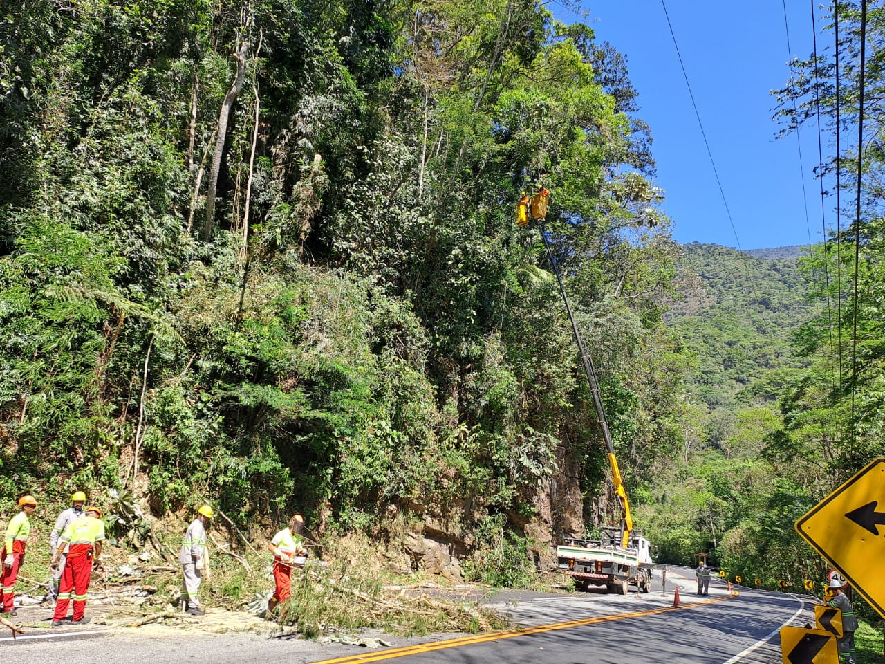 Rota 116 e CERCI realizam operação conjunta de poda  em Cachoeiras de Macacu